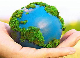 Política Ambiental - QUINTA D'AMARES