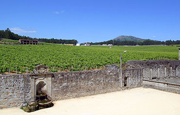 Quinta de Amares - Fonte