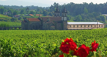 Quinta de Amares - Vinhas