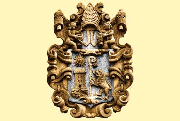 Brasão Quinta de Amares (sem fundo)