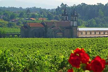 Rosas, vinhas e o Mosteiro de Sto André de Rendufe, na Quinta de Amares