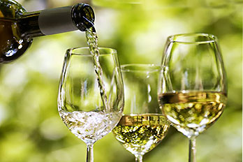 Vinhos QUINTA D'AMARES